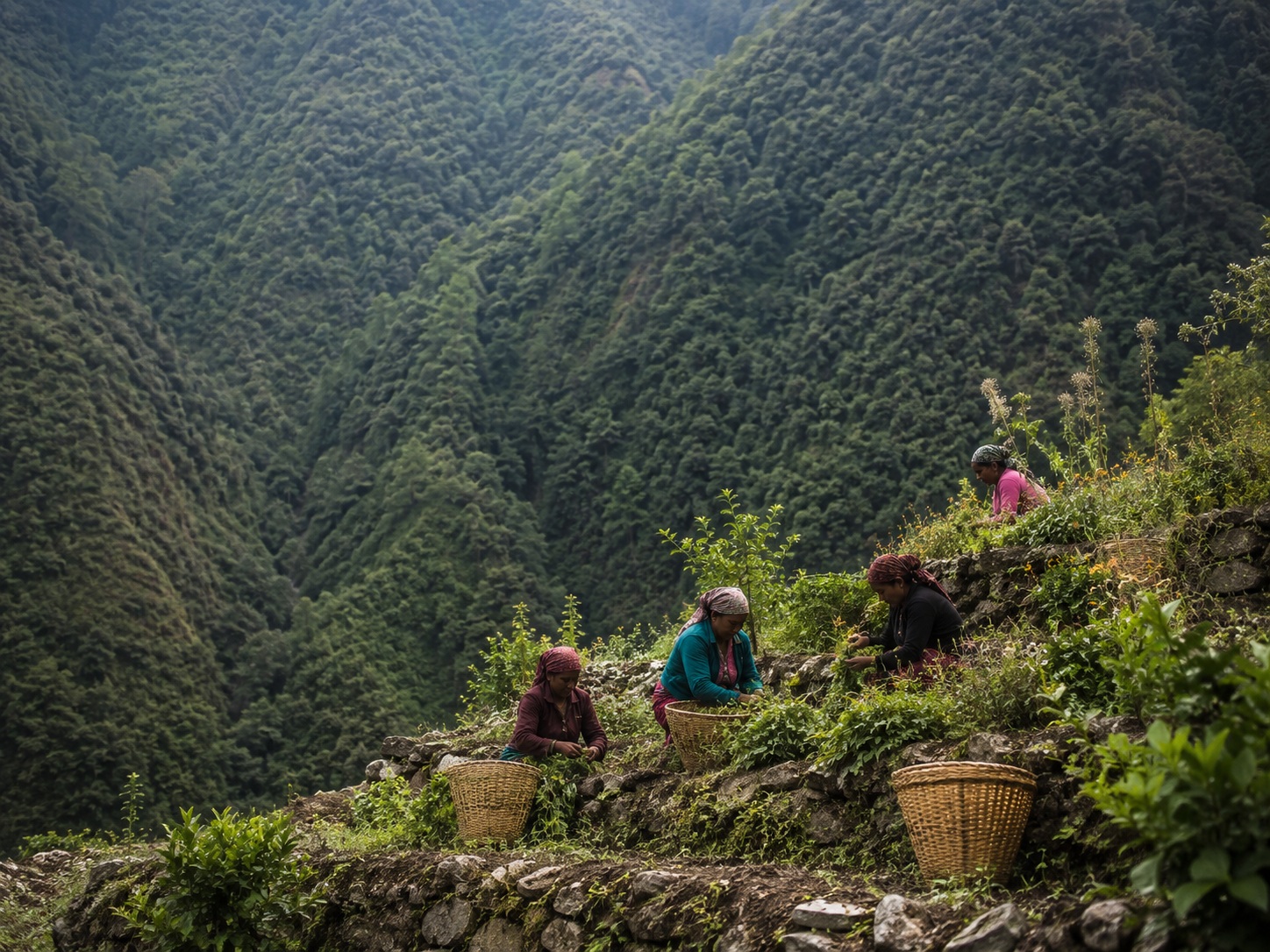 Himalayan valley in Nepal